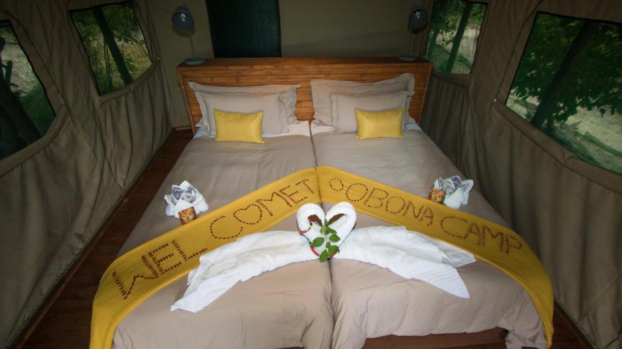 O Bona Moremi Safari Lodge Khwai Exteriör bild